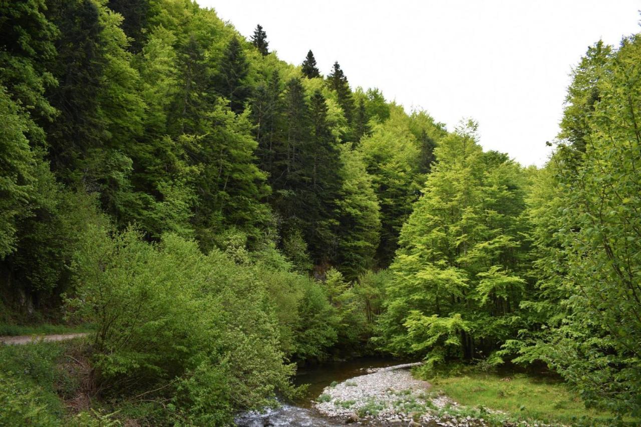 伊萨尔苏Xandua Etxea - Selva De Irati -别墅 外观 照片